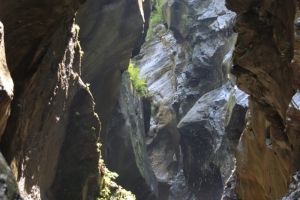 Canon EOS 90D f/5.6 1/100sec ISO-320 50mm Horizontal (normal)