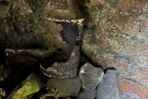 iPhone 13 f/1.6 1/5sec ISO-3200 5.1mm