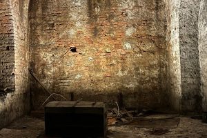 iPhone 13 f/1.6 1/16sec ISO-640 5.1mm