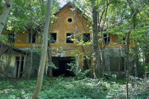 iPhone 13 f/1.6 1/115sec ISO-125 5.1mm