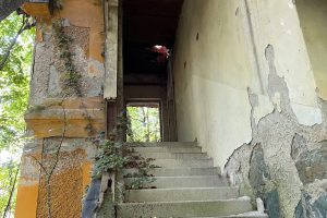 iPhone 13 f/1.6 1/60sec ISO-200 5.1mm