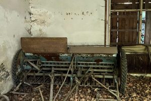 iPhone 13 f/1.6 1/33sec ISO-640 5.1mm