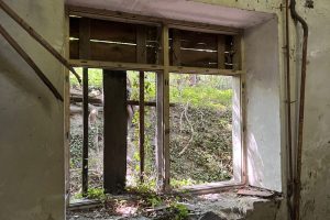 iPhone 13 f/1.6 1/40sec ISO-640 5.1mm