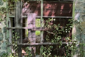 iPhone 13 f/1.6 1/60sec ISO-320 5.1mm