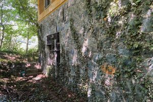 iPhone 13 f/1.6 1/60sec ISO-200 5.1mm