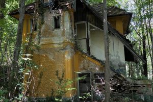 iPhone 13 f/1.6 1/84sec ISO-125 5.1mm