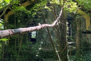 iPhone 13 f/1.6 1/121sec ISO-100 5.1mm