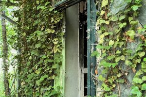 iPhone 13 f/1.6 1/60sec ISO-320 5.1mm