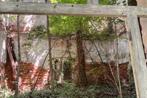 iPhone 13 f/2.4 1/60sec ISO-400 1.54mm