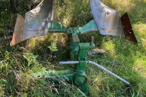 iPhone 13 f/1.6 1/182sec ISO-50 5.1mm