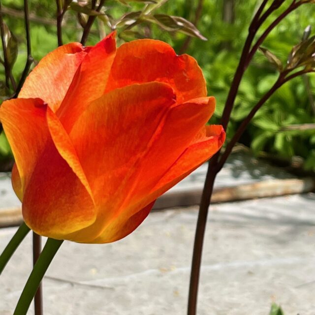 Wenn das Wetter nicht so will…